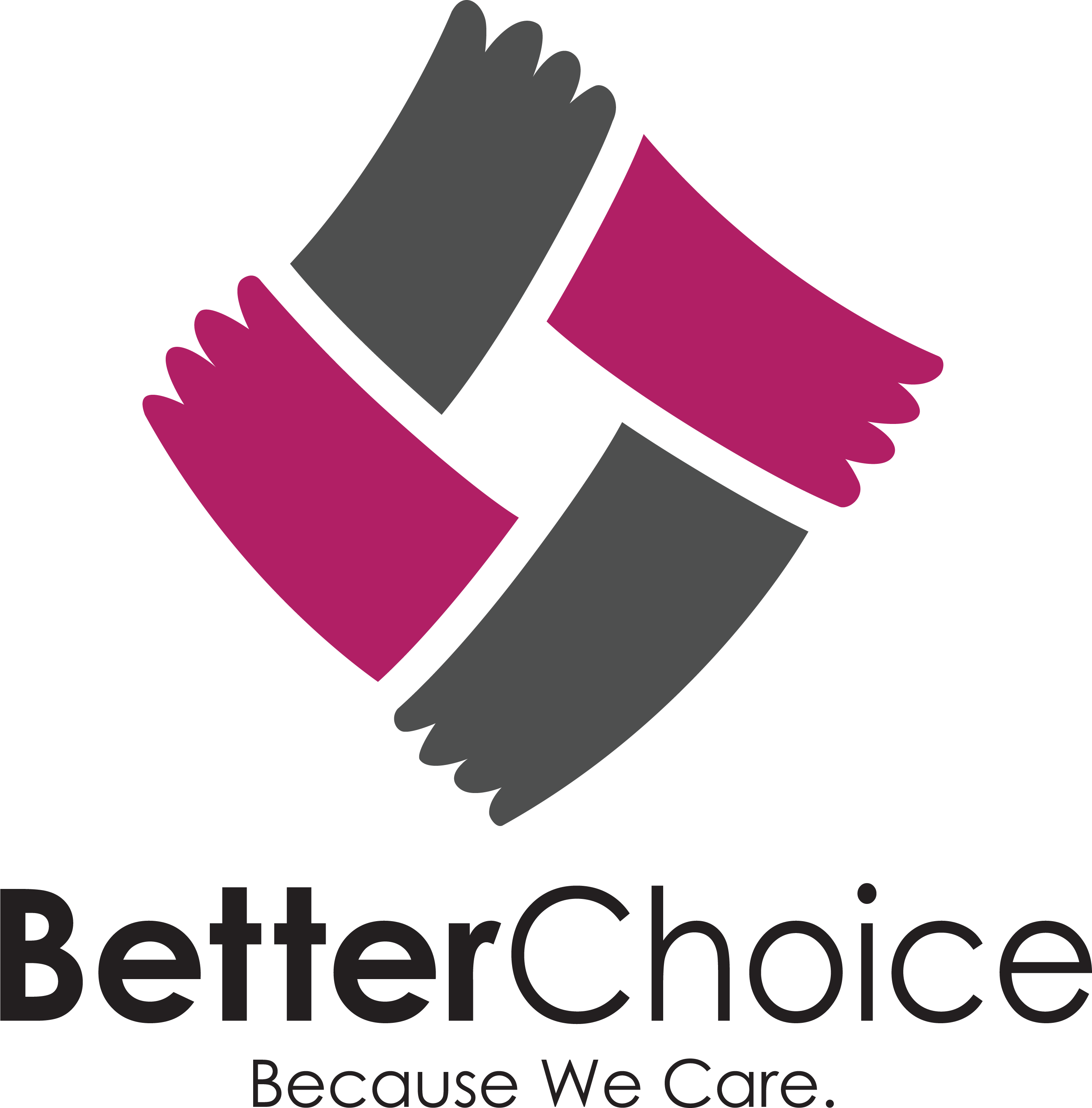 Better Choice Services
